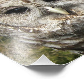 Nahe Esel Fotodruck (Ecke)