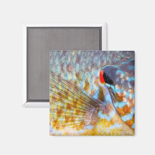 Nahe Fischskala Magnet (Vorderseite/Rückseite)