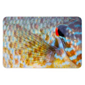 Nahe Fischskala Magnet (Horizontal)