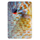 Nahe Fischskala Magnet (Vertikal)