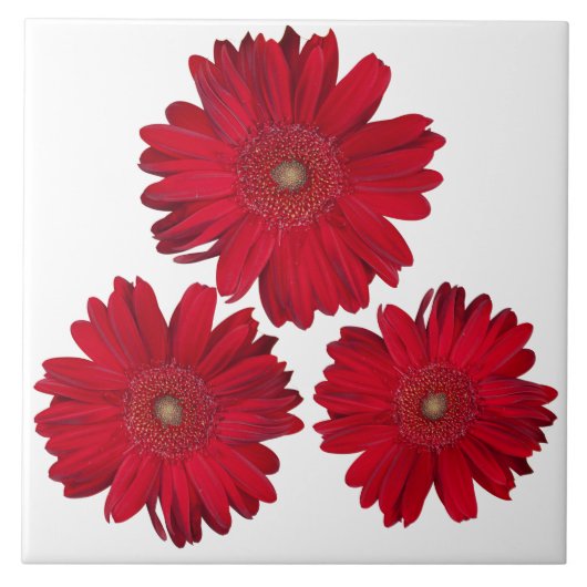 Nahe Foto mit drei Rot-Gerber-Daisy-Dekorationen Fliese (Vorderseite)
