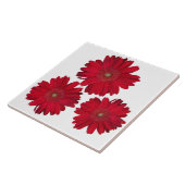 Nahe Foto mit drei Rot-Gerber-Daisy-Dekorationen Fliese (Seite)