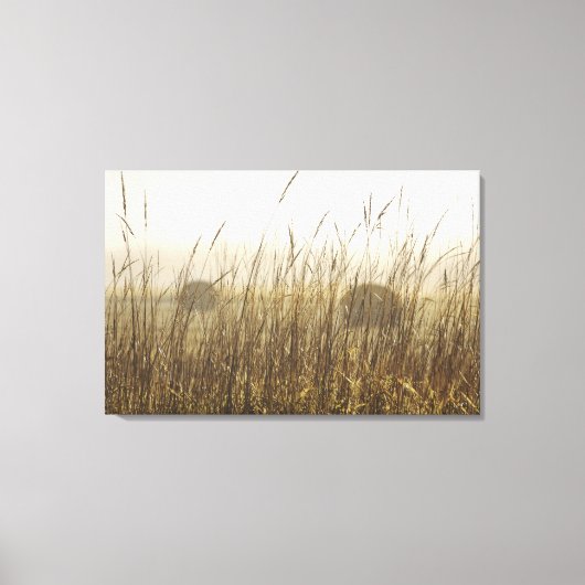 Nahe Fotografie Leinwanddruck (Vorderseite)