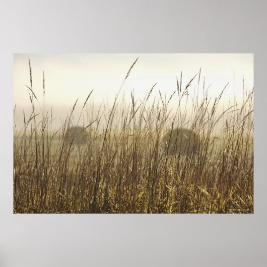 Nahe Fotografie Poster (Vorne)