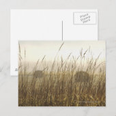 Nahe Fotografie Postkarte (Vorne/Hinten)