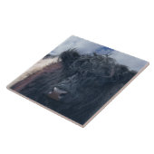 Nahe Galloway-Kuh mit schwarzem und weißem Glattle Fliese (Seite)