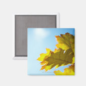 Nahe Gelbe Herbstlaube Magnet (Vorderseite/Rückseite)