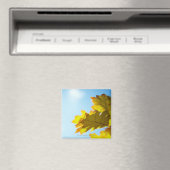 Nahe Gelbe Herbstlaube Magnet (In Situ (Geschirrspüler))