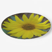 Nahe gelbe Sonnenblume auf Pappteller (Schrägansicht)