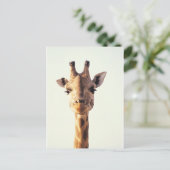 Nahe Giraffe Postkarte (Stehend Vorderseite)