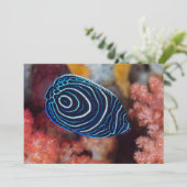 Nahe Gründung von Kaiser Angelfisch Karte (Stehend Vorderseite)