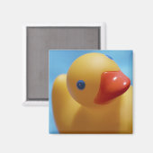 Nahe Gummientnahme Magnet (Vorderseite/Rückseite)