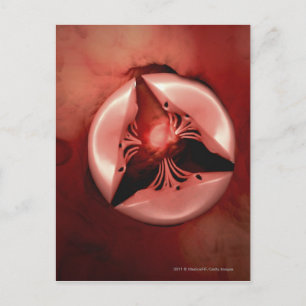 Nahe Hoch-Sicht auf das Trikuspid-Ventil im Herzen Postkarte