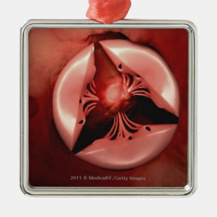 Nahe hohe Ansicht des tricuspid Ventils im Herzen Silbernes Ornament