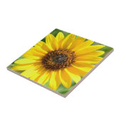 Nahe hohe Fliese der Sonnenblume (Seite)