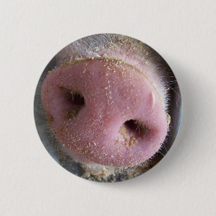 Nahe hohe Fotografie der rosa Schweinnase Button
