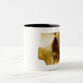 Nahe hohe frontale Ansicht des Gehirns innerhalb Zweifarbige Tasse (Mittel)