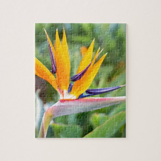 Nahe hohe Kran-Blume oder Strelitzia reginaei Puzzle (Vertikal)