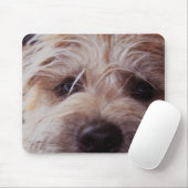 nahe hohe Mausunterlage des Welpengesichtes Mousepad (Mit Mouse)