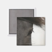 Nahe Hornhaut Magnet (Vorderseite/Rückseite)