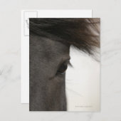 Nahe Hornhaut Postkarte (Vorne/Hinten)