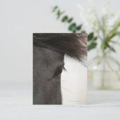 Nahe Hornhaut Postkarte (Stehend Vorderseite)