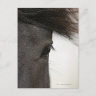 Nahe Hornhaut Postkarte