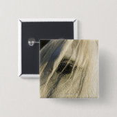 Nahe Horseaugenaufnahme Button (Vorne & Hinten)