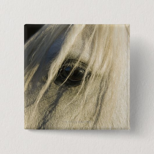 Nahe Horseaugenaufnahme Button (Vorderseite)