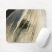 Nahe Horseaugenaufnahme Mousepad (Mit Mouse)