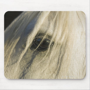 Nahe Horseaugenaufnahme Mousepad