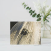 Nahe Horseaugenaufnahme Postkarte (Stehend Vorderseite)