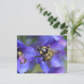 Nahe Hummeln Postkarte (Stehend Vorderseite)