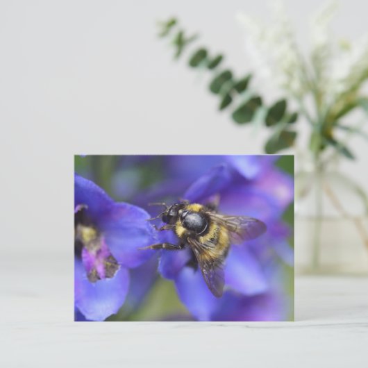 Nahe Hummeln Postkarte (Stehend Vorderseite)