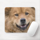 Nahe Hunde mit Chow Mix im Freien. Mousepad (Mit Mouse)