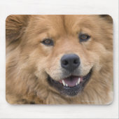 Nahe Hunde mit Chow Mix im Freien. Mousepad (Vorne)