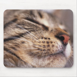 Nahe Katzenflüster und Maulesel Mousepad