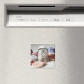 Nahe Knöpfe mit Metallkappe Magnet (In Situ (Geschirrspüler))