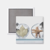 Nahe Kräuter in zwei Gläsern Magnet (Vorderseite/Rückseite)