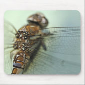Nahe Libelle Mousepad (Vorne)