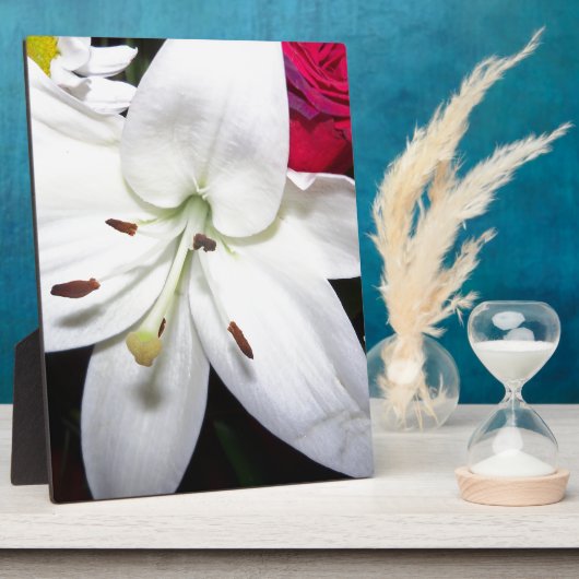 Nahe Lilie Fotoplatte (Seite)