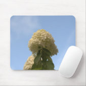 Nahe Limone Hydrangeas, die auf Sky Mousepad zeige (Mit Mouse)