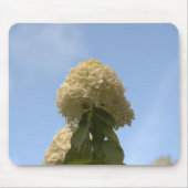 Nahe Limone Hydrangeas, die auf Sky Mousepad zeige (Vorne)