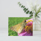 Nahe Motte auf Blume Postkarte (Stehend Vorderseite)