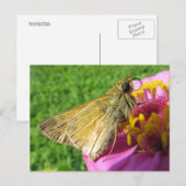 Nahe Motte auf Blume Postkarte (Vorne/Hinten)