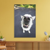 Nahe Nasenblase von Husky Leinwanddruck (Insitu (Wohnzimmer))