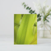 Nahe Nassblattauflage Postkarte (Stehend Vorderseite)