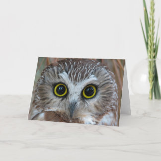 Nahe Nordsäge-Weiße Karte