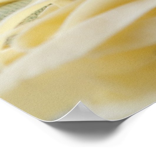 Nahe Nudeln Poster (Ecke)