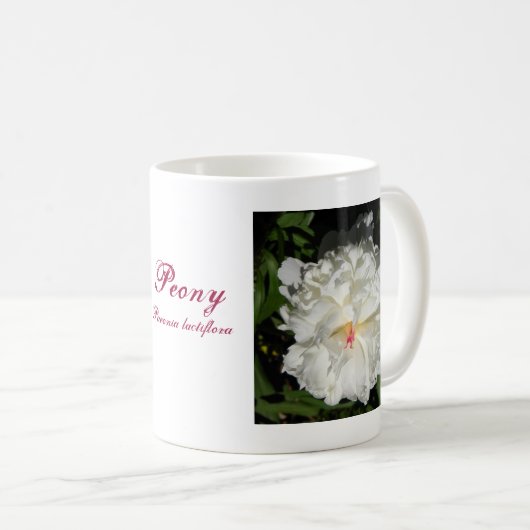 nahe Päonia lactiflora Kaffeetasse (VorderseiteRechts)